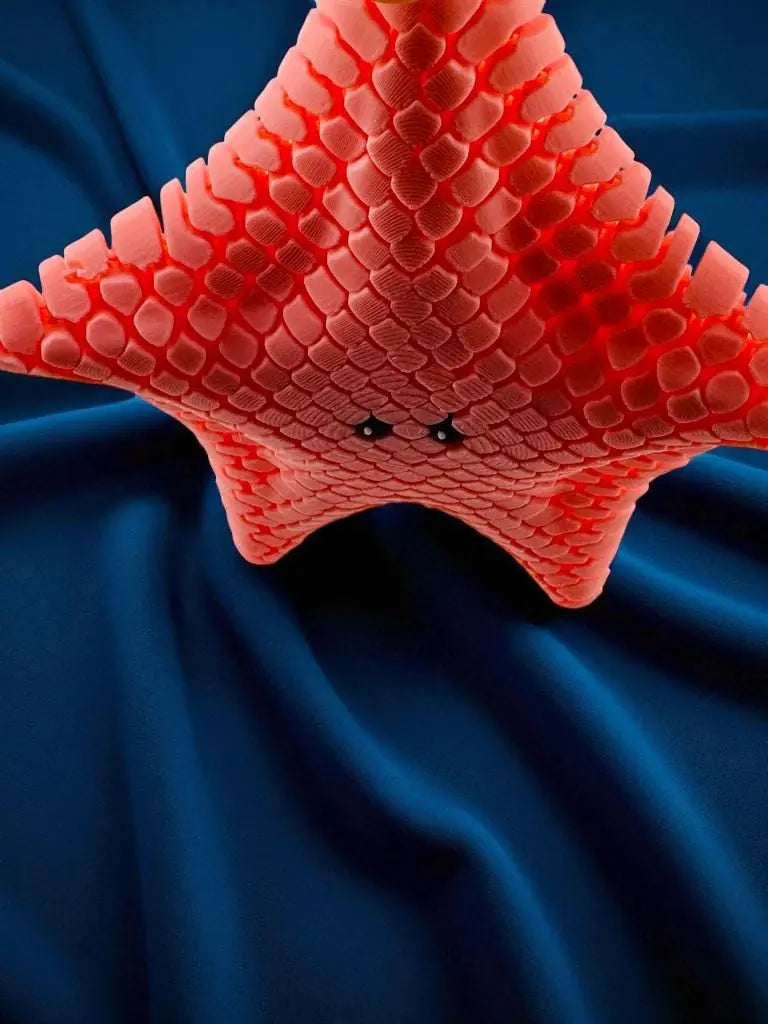 Betsie the Bat Sea Star – Large Flexible Starfish Fidget Toy 3rd Prints